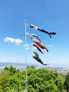 春が駆け足でやって来た