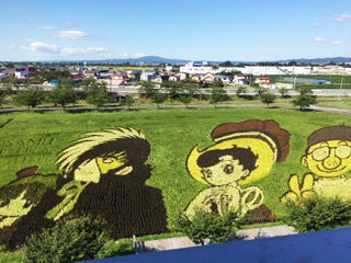 嵯峨野のレンゲ畑